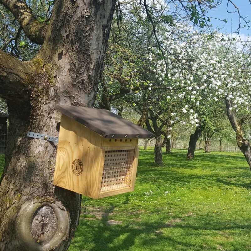 Wildbienenhotel Bee Wild in Streuobstwiese