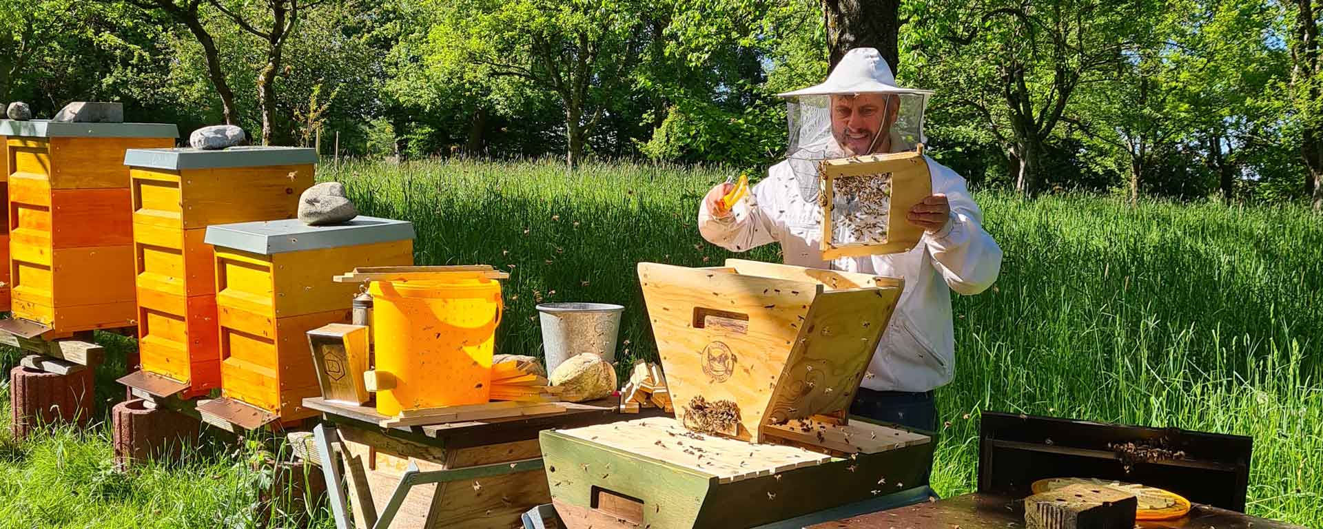 Imker mit einer Oberträgerbeute am Bienenstand