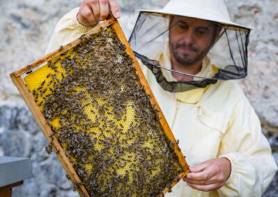Imker mit Honigwabe und Bienen