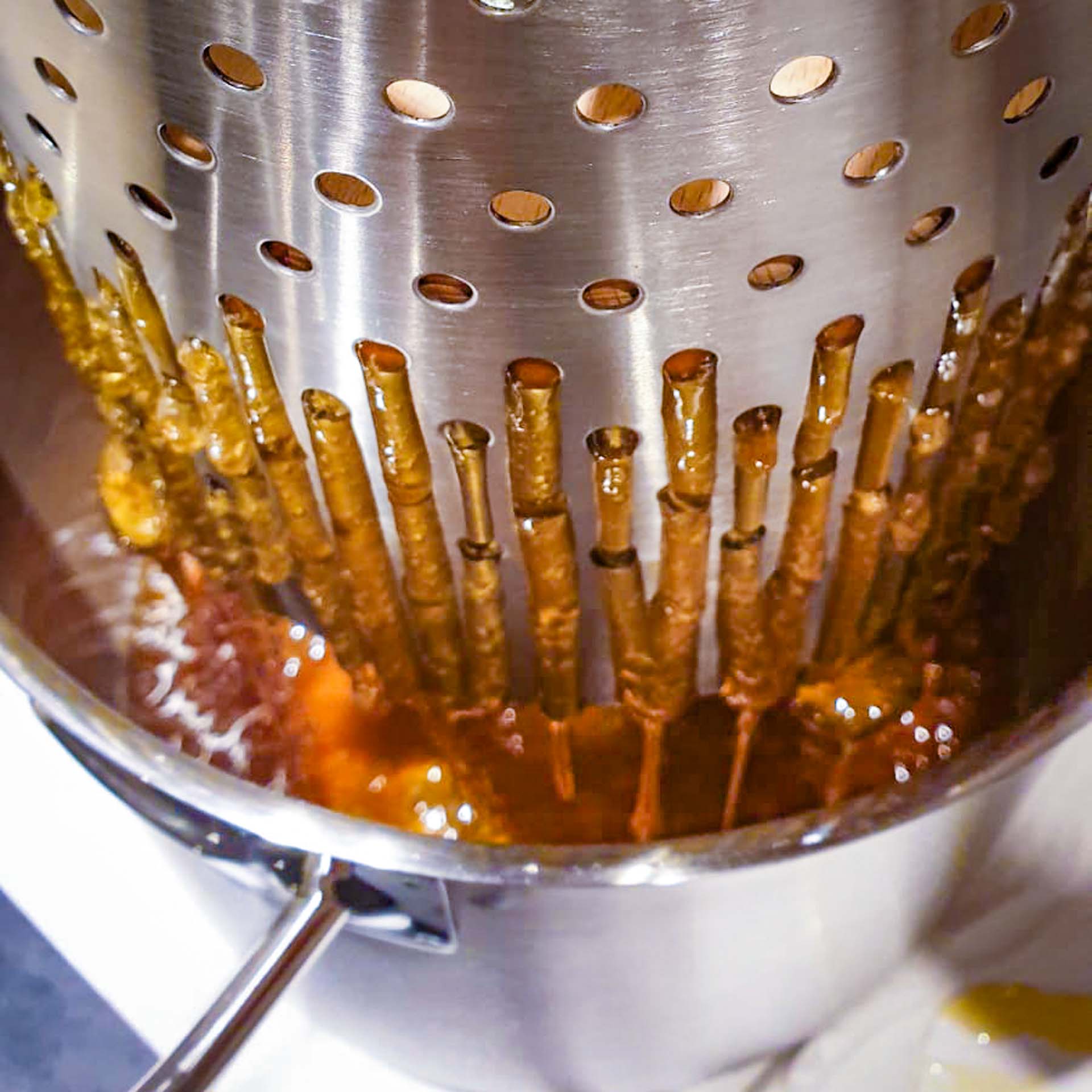 Honig wird aus den Waben ausgepresst