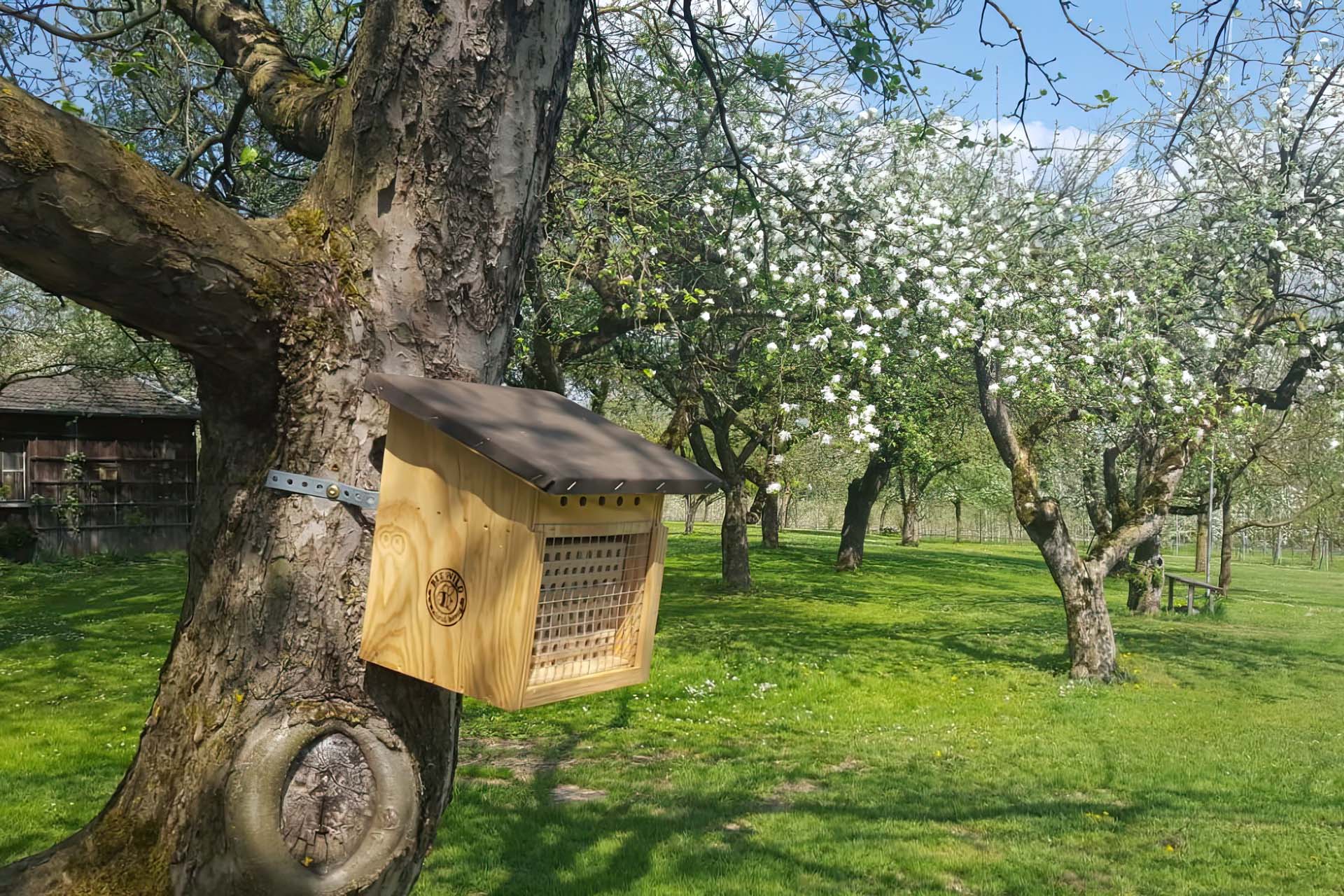 Wildbienenhotel Nisthilfe für Mauerbienen auf einer Streuobstwiese